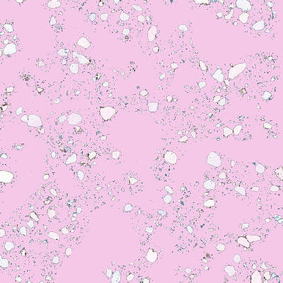 Terrazzo Pink by Monica Cipriano