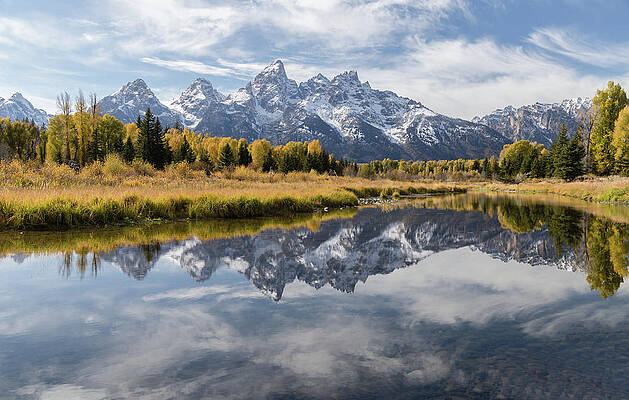 Teton Gold by Darlene Smith Teton Gold by Darlene Smith