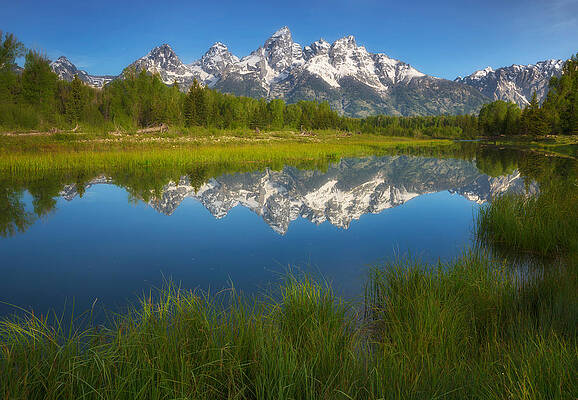 Wall Art - Photograph - Teton Meadows by Darren White