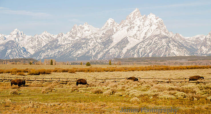 Tetons by Jimmie L Bryan
