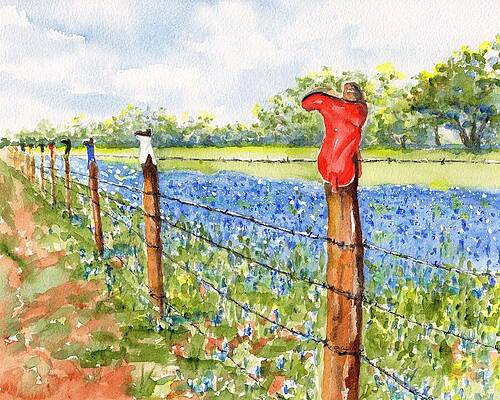 Barbed Wire Fence Paintings Fine Art America