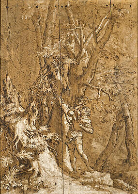 The Abandoned Oedipus Print by Salvator Rosa