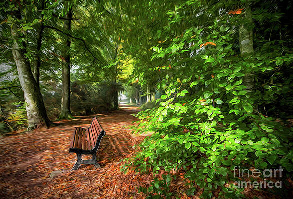 The abbey's bench 2 by Dominique Guillaume The abbey's bench 2 by Dominique Guillaume