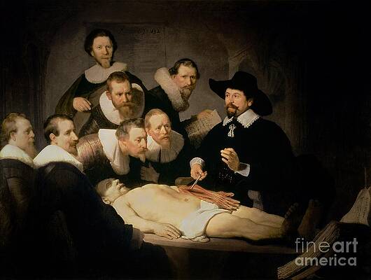 Medical Doctor Paintings Fine Art America