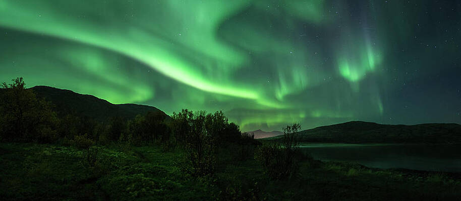 Arctic Fall by Dan A Steinbakk Arctic Fall by Dan A Steinbakk