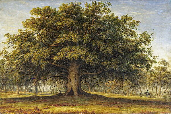 Wall Art - Painting - The Beggars Oak by John Glover