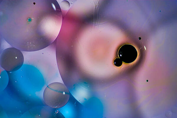 The blob by Dave Perks