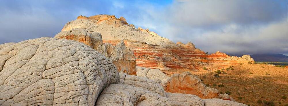 Wall Art - Photograph - The Brain And Beyond by David Andersen