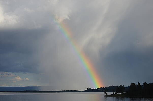 The bright rainbow. by Stacy Jenkins