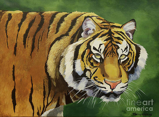 Clemson Tigers Paintings for Sale - Fine Art America