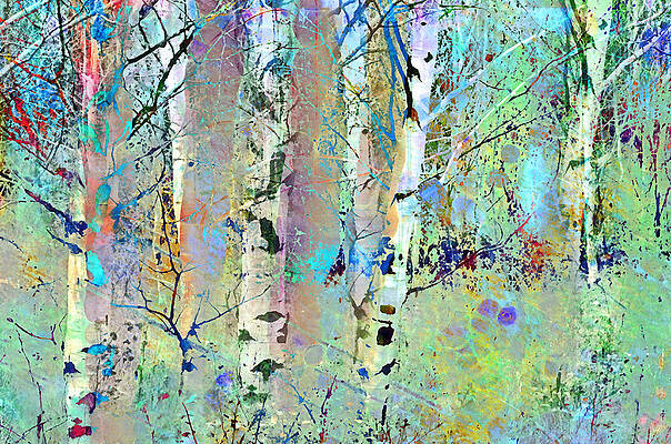 The Colouring Book in the Forest by Tara Turner The Colouring Book in the Forest by Tara Turner
