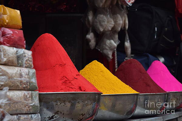 Photograph - The colours of holi by Mini Arora