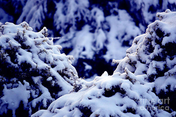 The Deep Blue - Winter Wonderland in Switzerland by Susanne Van Hulst The Deep Blue - Winter Wonderland in Switzerland by Susanne Van Hulst