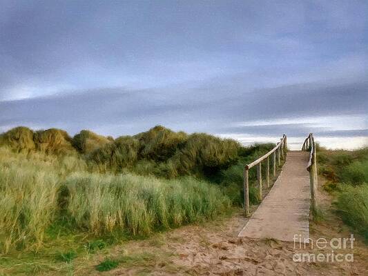 The Dune Bridge by Abbie Shores The Dune Bridge by Abbie Shores