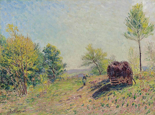The Edge of the Forest Print by Alfred Sisley
