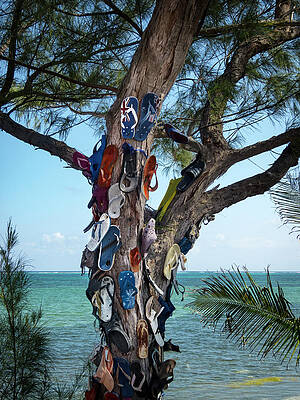 Mary Lee Dereske Ocean Wall Art
