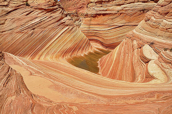 Wall Art - Photograph - The Geometry of Waves by Leda Robertson