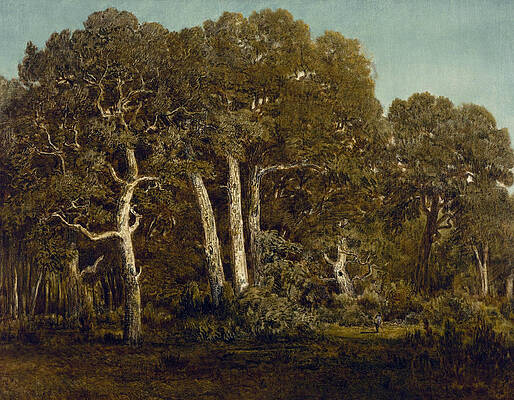 Wall Art - Painting - The Great Oaks of Old Bas-Breau by Theodore Rousseau
