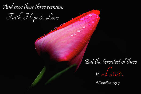 Wall Art - Photograph - The Greatest of These is Love by Trina Ansel