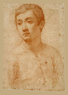 The Head of a Youth Print by Passignano