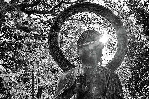 Wall Art - Photograph - The Light within and without by Lora Lee Chapman