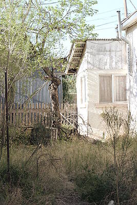 Wall Art - Photograph - The Lot by Colleen Cornelius