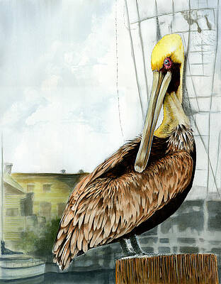 The Menace of Shem Creek by Thomas Hamm The Menace of Shem Creek by Thomas Hamm
