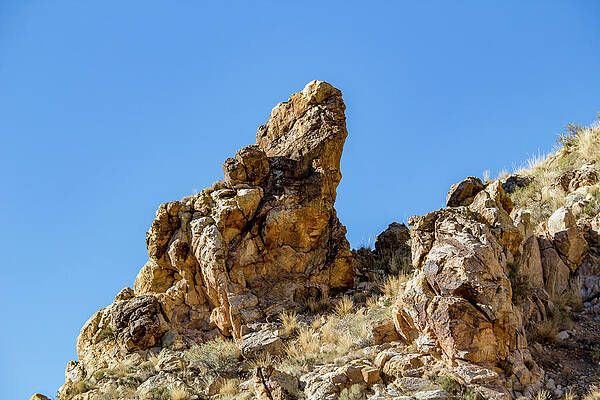 Wall Art - Photograph - The Rock Dragon by K Bradley Washburn