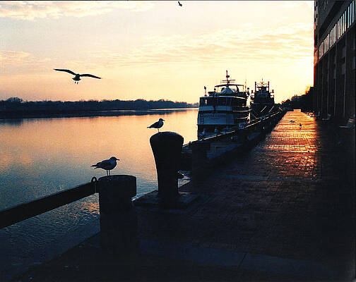 The rose-pink light of dawn on River Street, Savannah, GA, 1990 by Stephanie LeVert