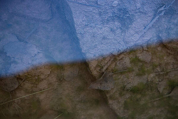 Wall Art - Photograph - The Shade And Shadow Of Decomposition by Deborah Hughes