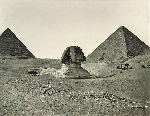 The Sphinx and the Pyramids Print by Adolphe Braun