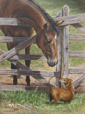 The Tall and Short of It by Kim Lockman The Tall and Short of It by Kim Lockman