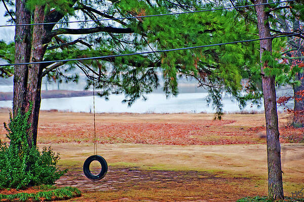Wall Art - Photograph - The Tire Swing by Gina O'Brien