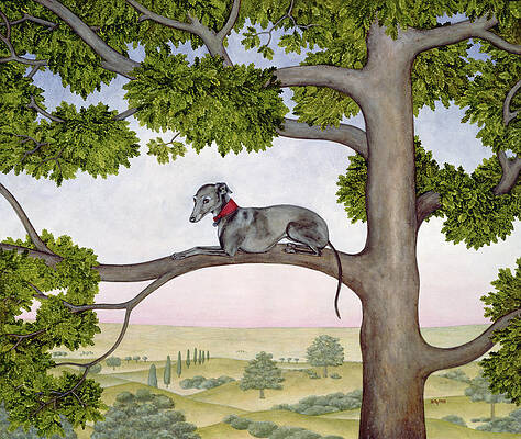 Wall Art - Painting - The Tree Whippet by Ditz