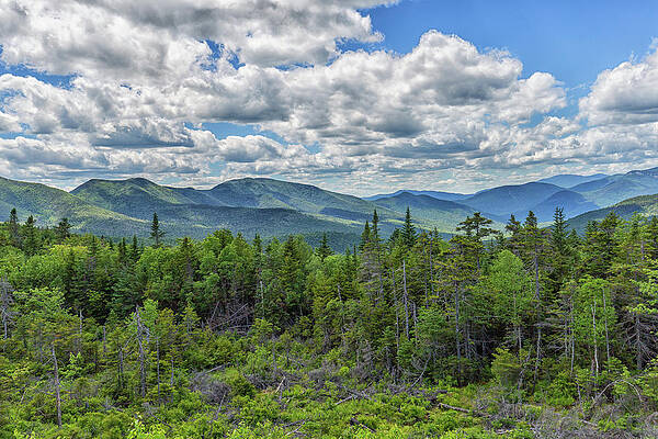 Wall Art - Photograph - The View From The Pemigewasset Overlook by Brian MacLean