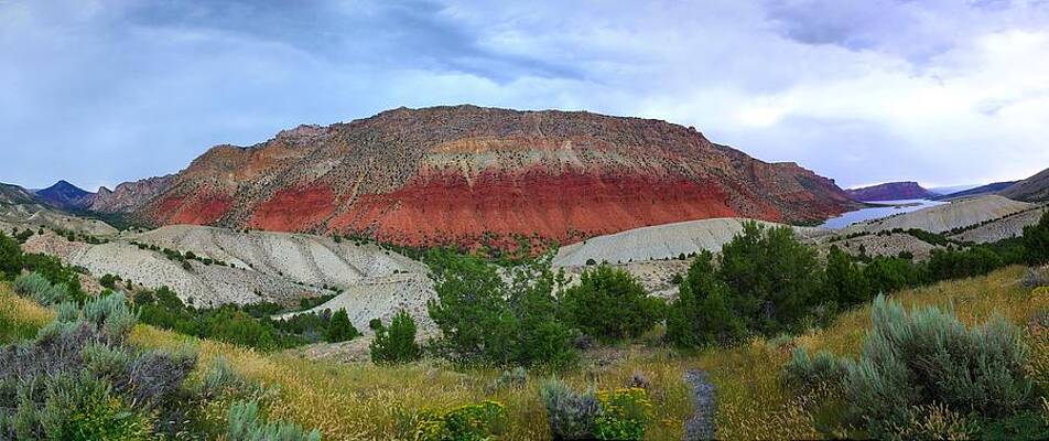Wall Art - Photograph - There Is A Reason For The Name Flaming by David Andersen