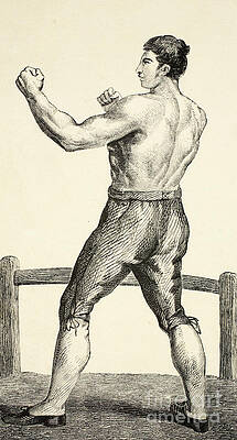 Рисунок боксера - Томас Крибб от Английской школы