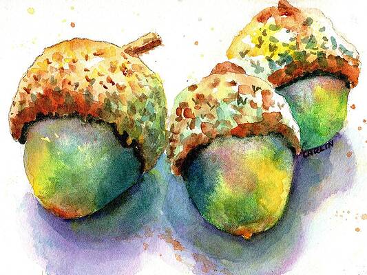 Wall Art - Painting - Three Acorns by Carlin Blahnik CarlinArtWatercolor