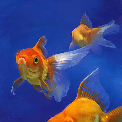 Goldfish Bowl Paintings for Sale - Fine Art America