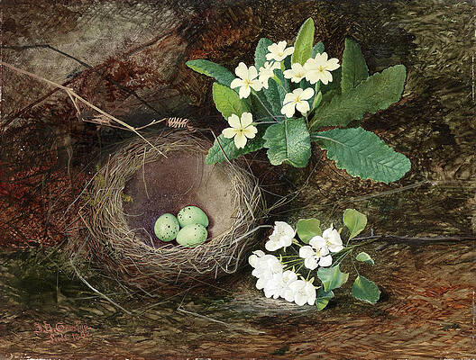 Thrush's Nest.Primroses.Pear Blossom Print by John Atkinson Grimshaw