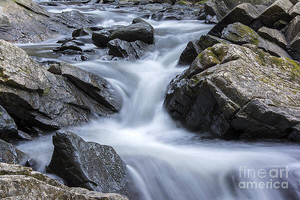 Thundering Brook by Darla Bruno