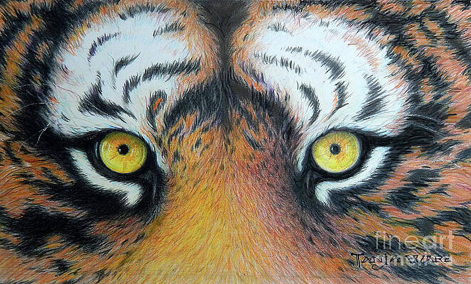 Realistic Tiger Paintings Fine Art America