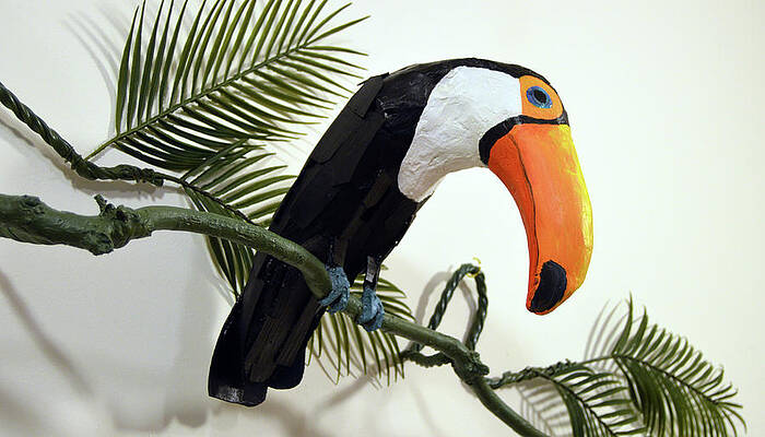 Toby the Toucan by Daniel Gale Toby the Toucan by Daniel Gale