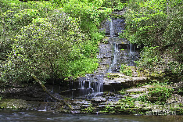 Wall Art - Photograph - Tom Branch Falls in the Spring by Jill Lang