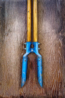 Wall Art - Photograph - Tools On Wood 73 by YoPedro