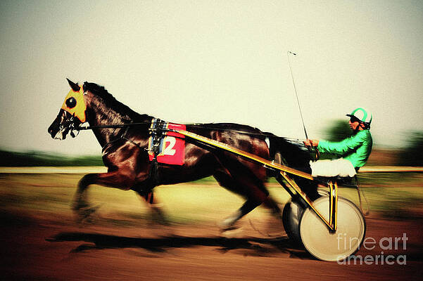 Wall Art - Photograph - Traditional buggy race by Dimitar Hristov