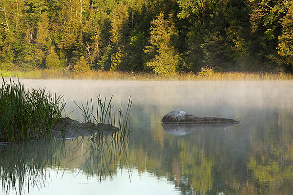 Tranquility by Margaret Sarah Pardy Tranquility by Margaret Sarah Pardy
