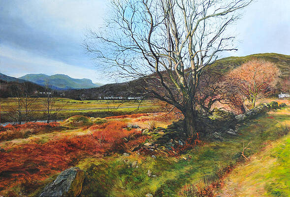 Tree at Aberglaslyn by Harry Robertson Tree at Aberglaslyn by Harry Robertson