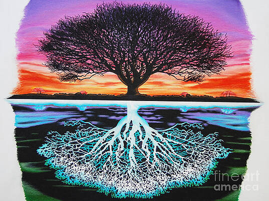 Wall Art - Drawing - Tree Of Life And Negative by Brian Schuster