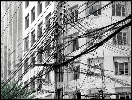 Wall Art - Photograph - Tree of Progress by Steven Robiner